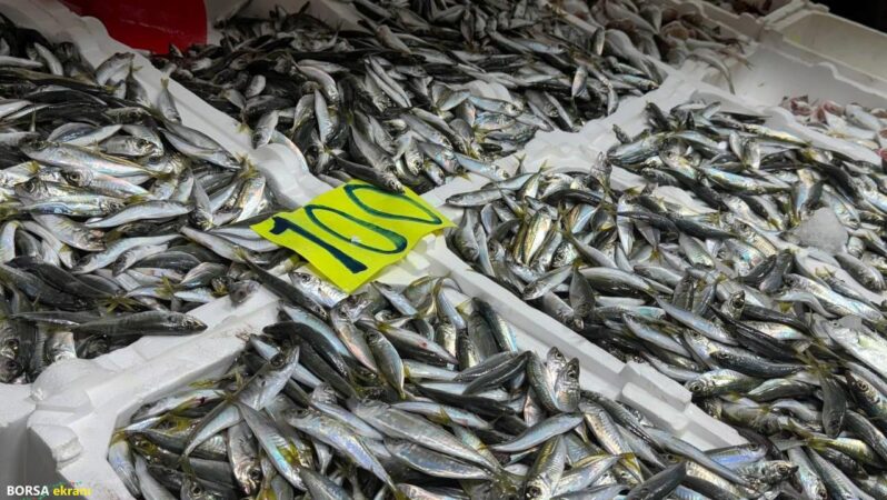 Balıkçı esnafından vatandaşa uyarı: Pahalı olur