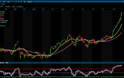 Günlük / Haftalık Bülten 02/02/2026