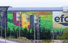 EFOR 2025 4. Çeyrek Bilanço Analizi / 12.02.2026