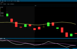 FENER Teknik Baskı Altında