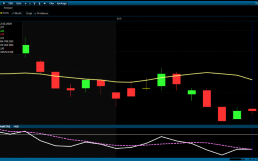 FENER Teknik Baskı Altında