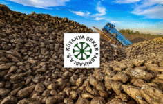 KTSKR’de Ortak Satışı