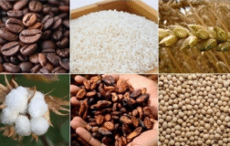 Emtia CFD’lerinde Arz Baskısı Ön Planda