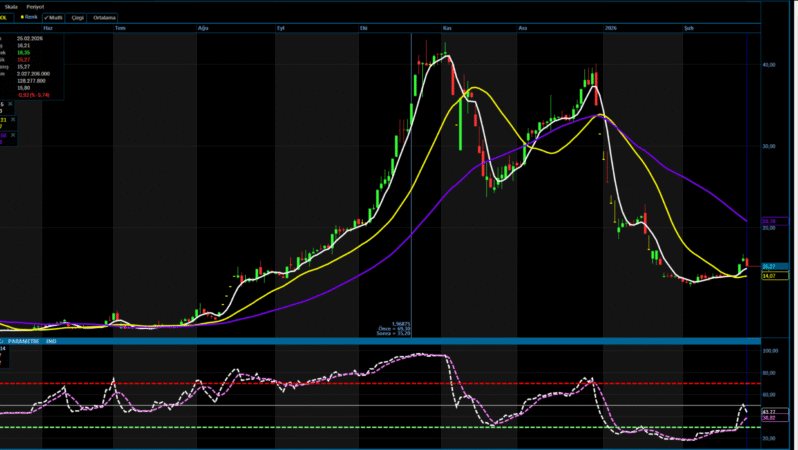 TEHOL’de Kritik Seviye 14,04 TL