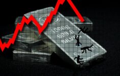 Gümüş Ayı Baskısı Güçleniyor