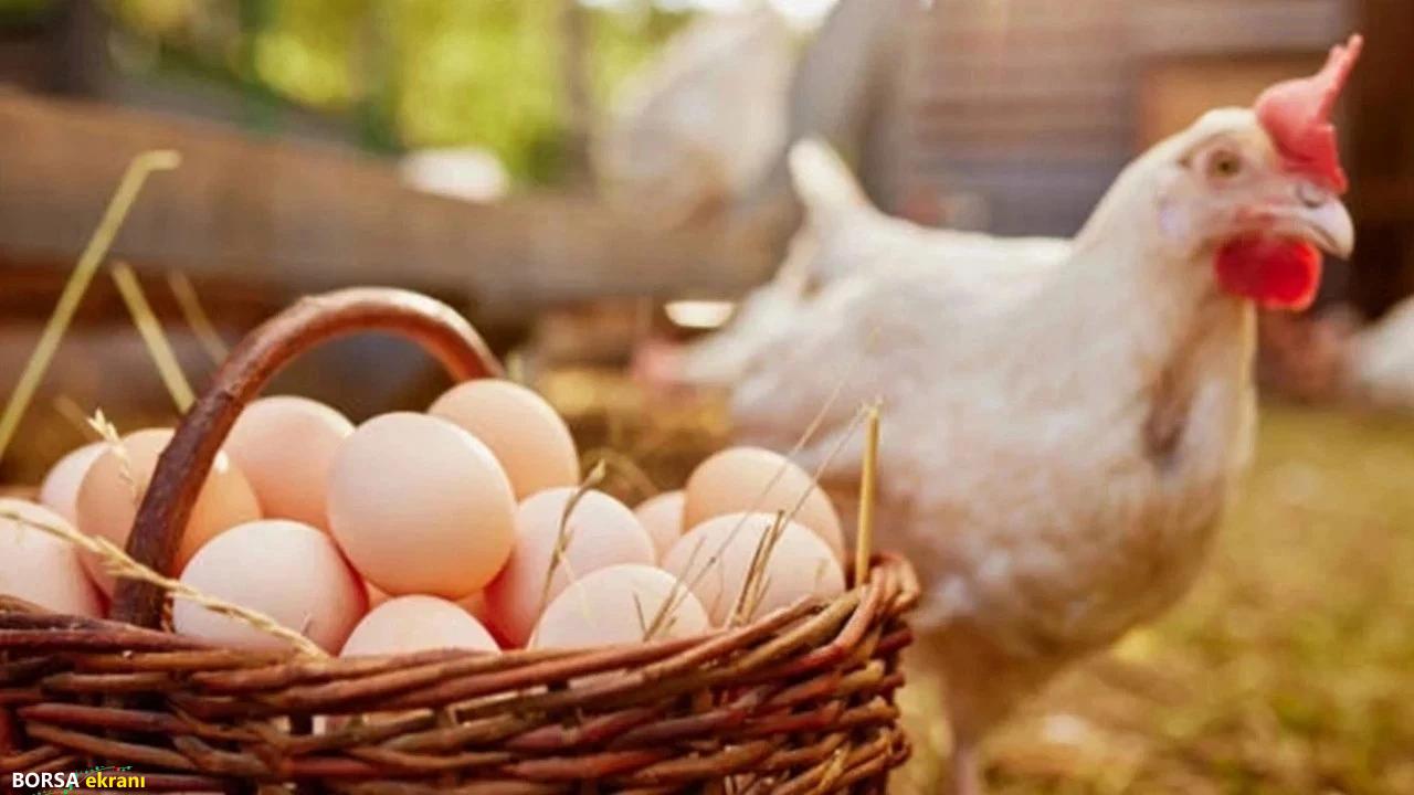 Aralıkta kümes hayvancılığı zirve yaptı: Tavuk eti 254 bin tonu, yumurta 1,86 milyarı aştı