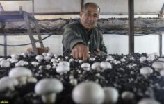 Dolar ve altınlarını bozdurup kurdu, şimdi tüm Akdeniz’e satıyor