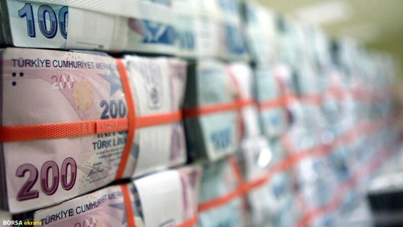 Ergün Holding Yönetim Kurulu Başkanı Ergün: Devredilen alacak tutarı bu yıl 2,7 kat artacak