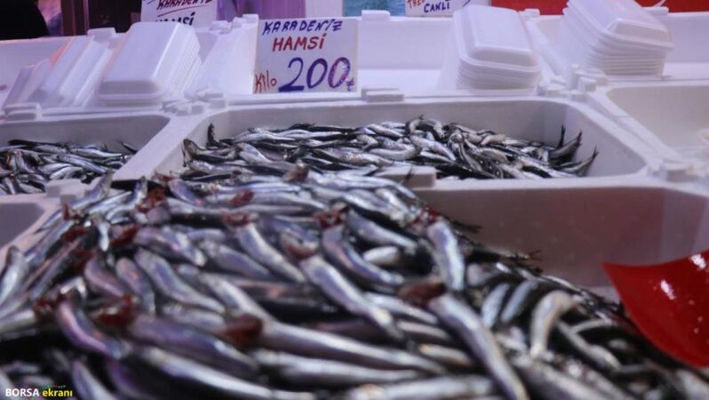 Hamsi yurda döndü, tezgahlardaki fiyatın ateşi düştü