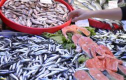 Hamsi zirveyi kaptırdı! İşte en çok satılan balık…