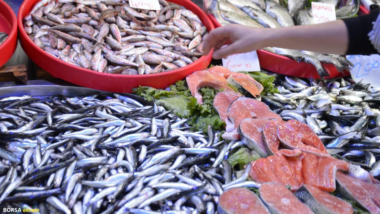Hamsi zirveyi kaptırdı! İşte en çok satılan balık…