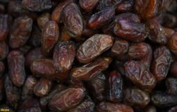 Hurma fiyatları cep yakıyor! Kilosu et fiyatlarını geçti