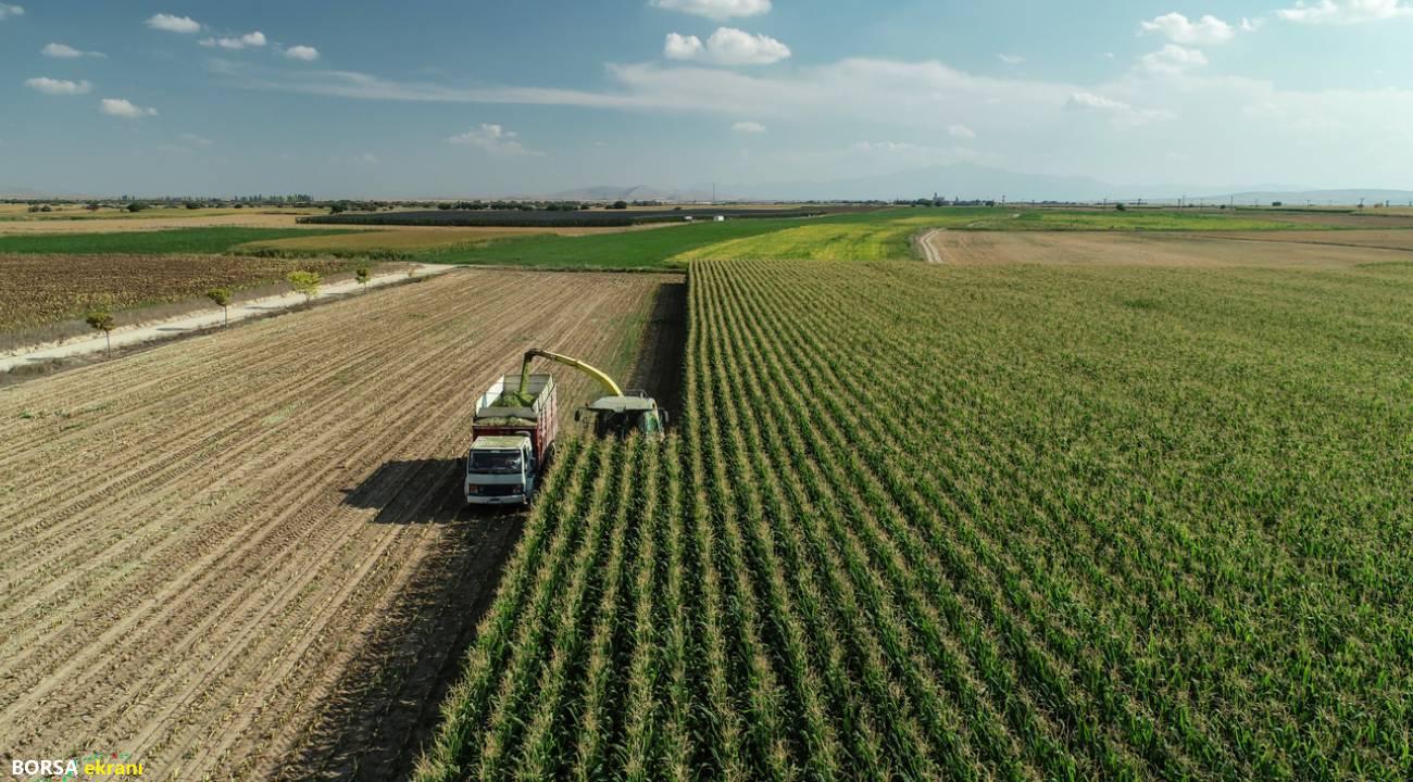 Ocak ayında üretici enflasyonu yükseliş gösterdi