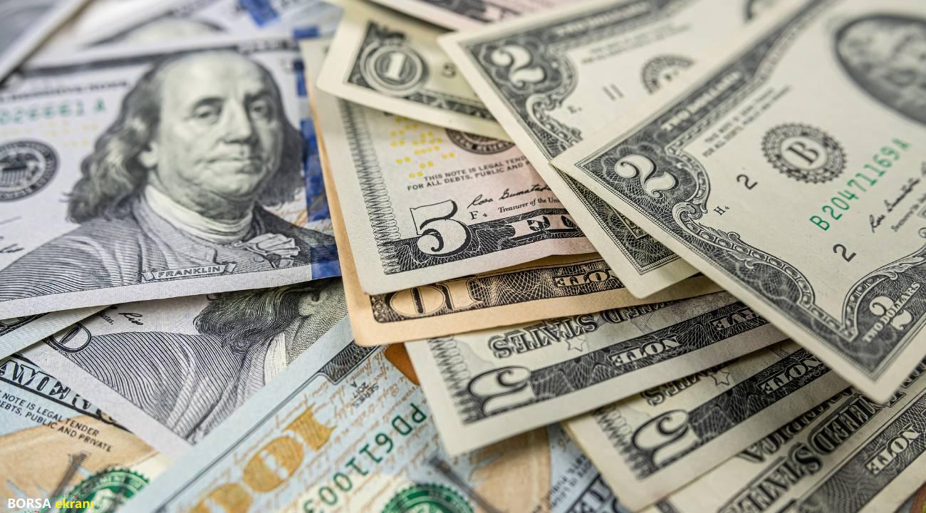 Özel sektörün yurt dışı kredi borcu 219,7 milyar dolara çıktı