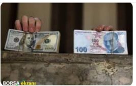 Robin Brooks: Türk Lirası Üzerindeki Değer Kaybı Baskısı Artıyor