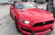 Sahte belgelerle lüks araç oyunu: 600 milyonluk vurgun Sarp Kapısı’nda takıldı