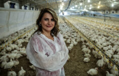 Tavuk İhracatına Ramazan Freni