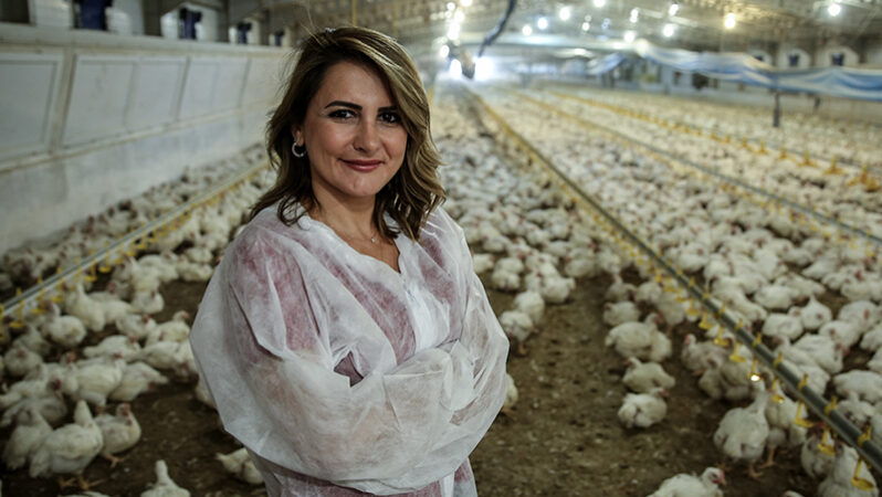 Tavuk İhracatına Ramazan Freni