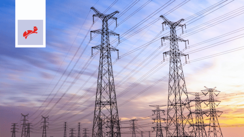 GESAN Ortaklığı TEİAŞ İhalesinde Birinci Oldu