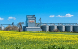 BANVT Rekabet Cezasına Dava Açtı