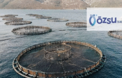 OZSUB’tan Rekabet Kurulu ile Uzlaşma Kararı