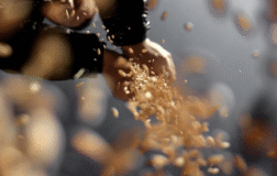 Rusya’dan gübre ihracatı uyarısı: Kapasite sınırına ulaşıldı