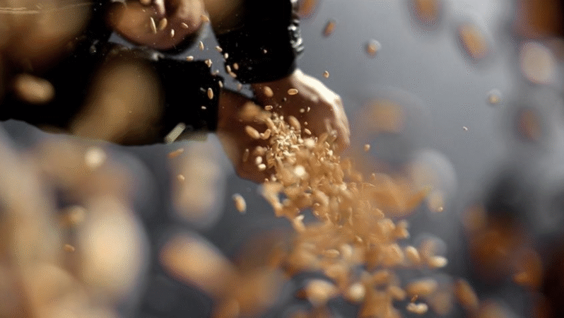 Rusya’dan gübre ihracatı uyarısı: Kapasite sınırına ulaşıldı