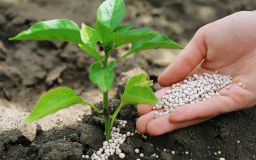 AB’den Gübre Fiyatlarına Karşı Eylem Planı Hazırlığı