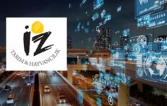 IZINV’nin İştiraki Pocket eSIM’e 1,25 Milyon Dolarlık Yatırım