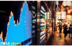 Deniz Yatırım’dan Hektaş (HEKTS TI)  Bilanço Değerlendirmesi