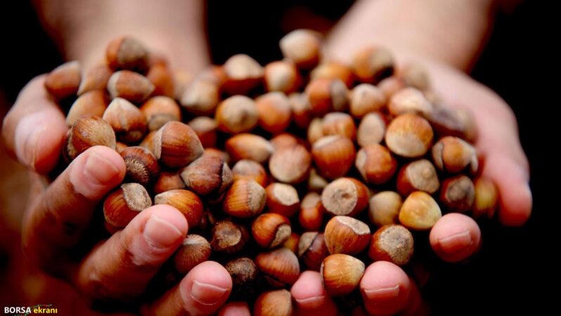 Fındıkta sert düşüş: 100 TL geriledi