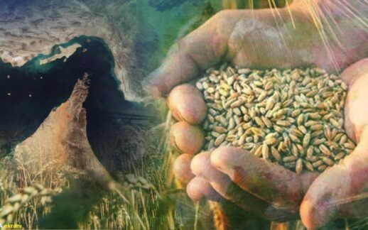 Gübre krizi kapıda: İran savaşı gıda fiyatlarını vuracak