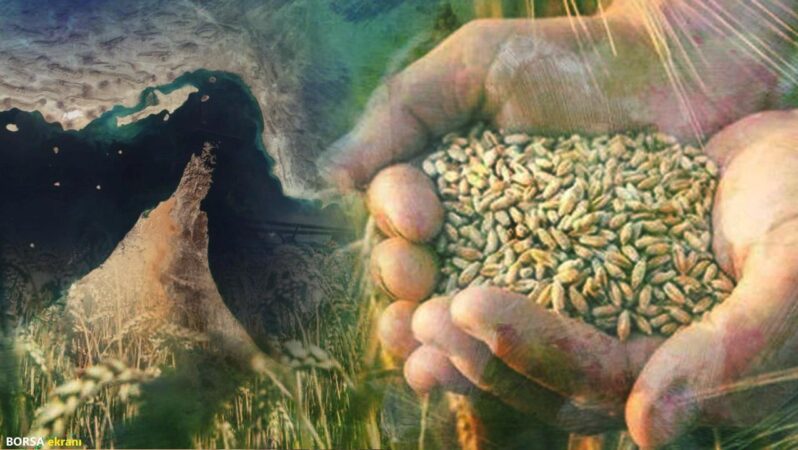 Gübre krizi kapıda: İran savaşı gıda fiyatlarını vuracak