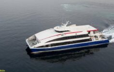 İDO’nun Ege’de yeni sezonu: 10 hatta sefer planı