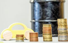  Ni­lay Tatlısöz : Tek sorun fiyat değil baz yağ arzı daralıyor