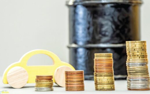  Ni­lay Tatlısöz : Tek sorun fiyat değil baz yağ arzı daralıyor