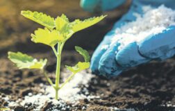 Orta Doğu’daki savaş gübre piyasasını vurdu: Fiyatlar hızla yükseliyor