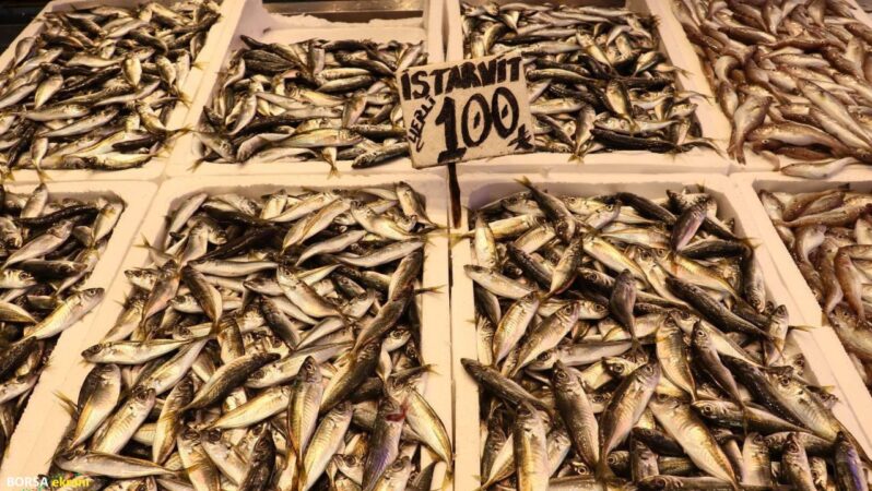 Ramazan ayında balığa talep patladı: Tezgahlar doldu taştı