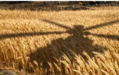 Savaşın gölgesinde Türkiye ekonomisi