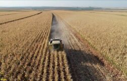 Tarım ÜFE şubatta yıllık yüzde 40,10 arttı