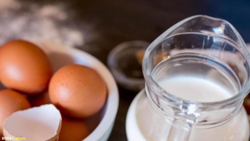 TÜİK açıkladı: Tavuk yumurtası ve süt üretiminde artış