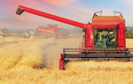 TÜRİB Genel Müdürü Kırali: Fiyatlar yukarı gidiyor tarıma girdi desteği lazım