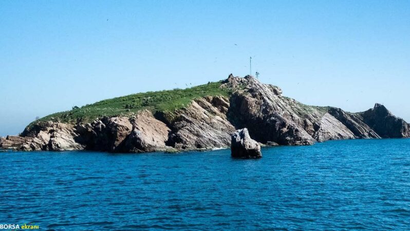 WWF-Türkiye’den ” Av Değil Yaşam Alanı” kampanyası