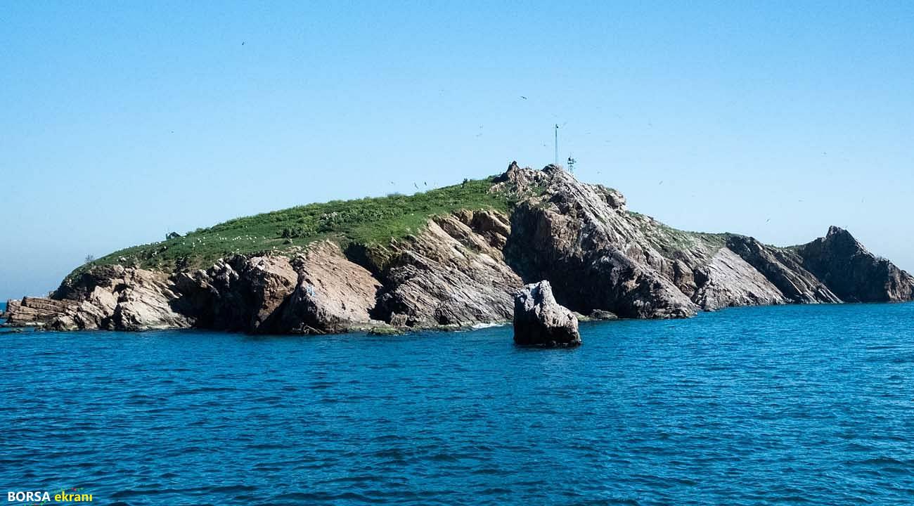 WWF-Türkiye’den ” Av Değil Yaşam Alanı” kampanyası