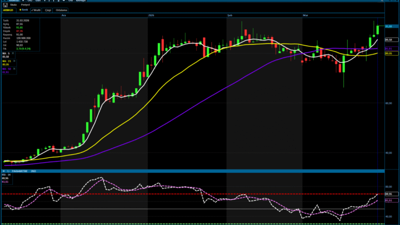 ARMGD hedef fiyatı 109,60 TL’ye yükseltildi