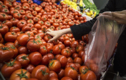 Mart enflasyonunda sınırlı artış bekleniyor: Enerji ve gıda fiyatları öne çıkıyor