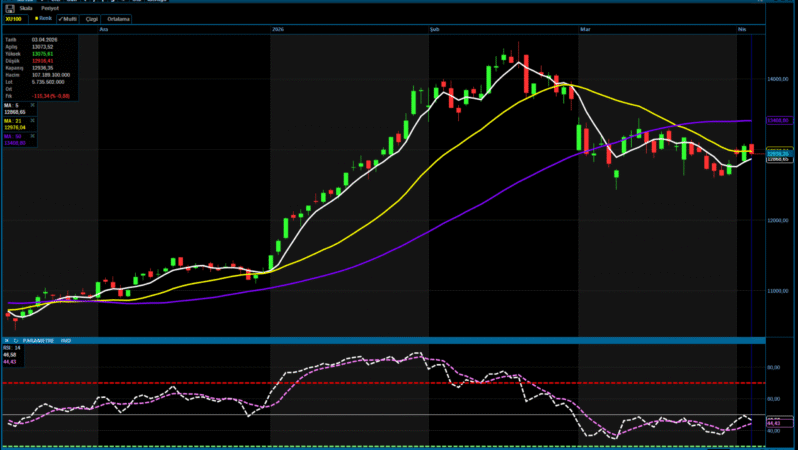 BIST 100 hisselerinin teknik analizi
