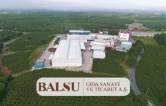 BALSU’da Pay Devri