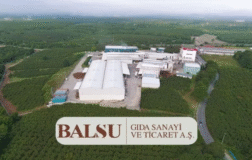 BALSU’da Pay Devri