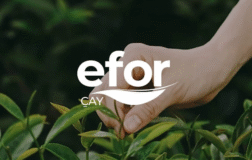 EFOR’un Ortağı İhale Kazandı